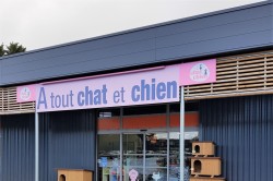 A TOUT CHAT ET CHIEN -  Services Bayeux